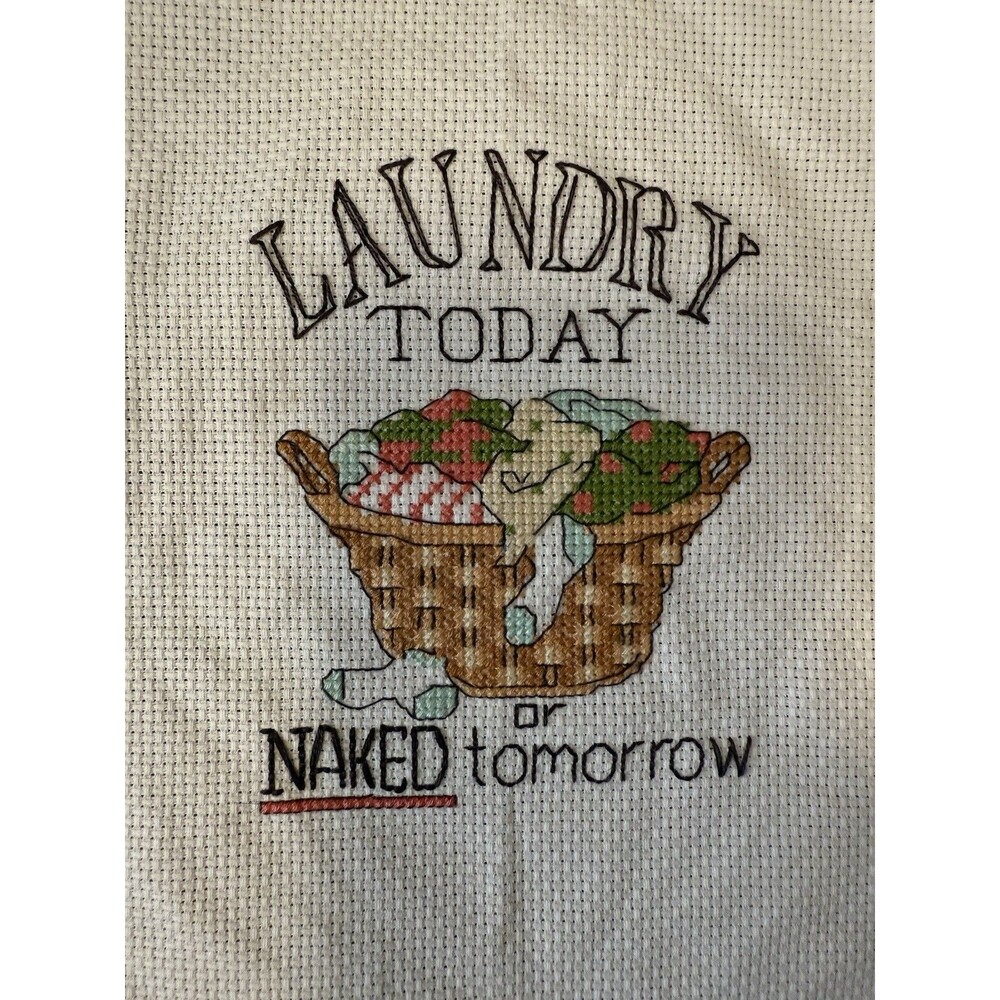 Dimensions "Laundry Today or‎ Naked Tomorrow" counted cross-stitch project